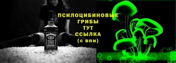 прущий лед Алексин