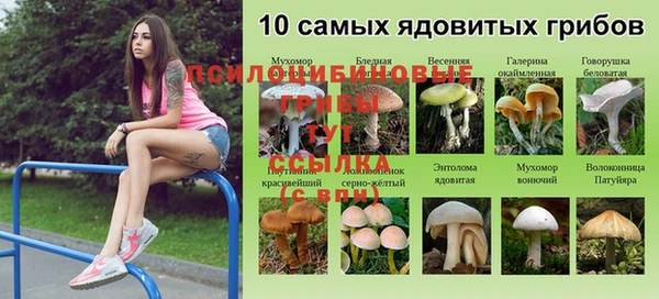 прущий лед Алексин