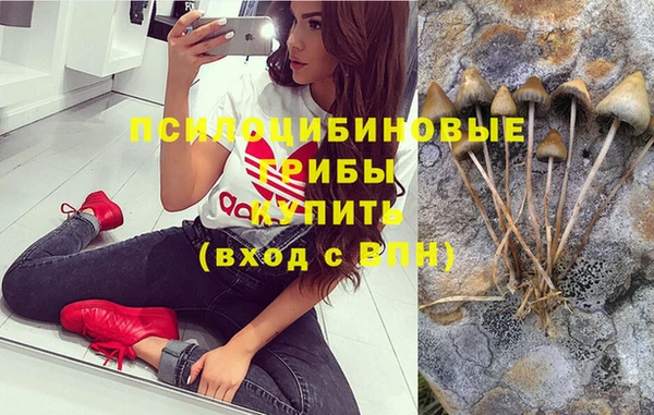 прущий лед Алексин