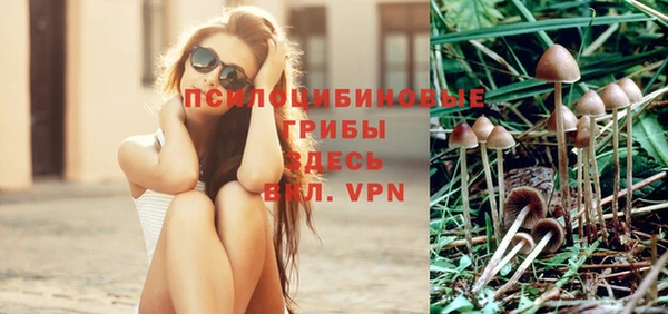 метадон Медногорск