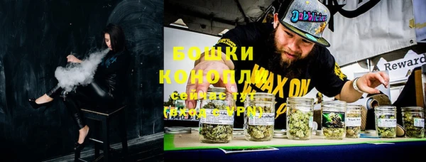 мдпв Снежногорск