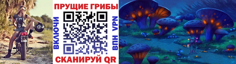 Псилоцибиновые грибы мицелий blacksprut Богучар